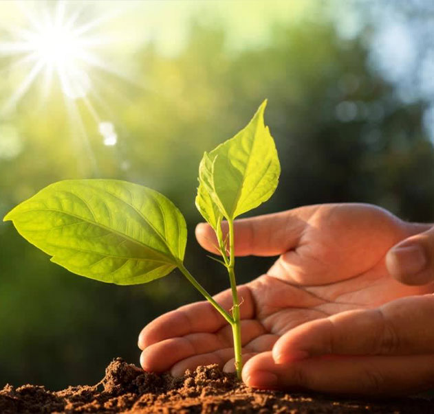 Jiangsu Shixin Adhesive Tape Products Co.、Ltd。