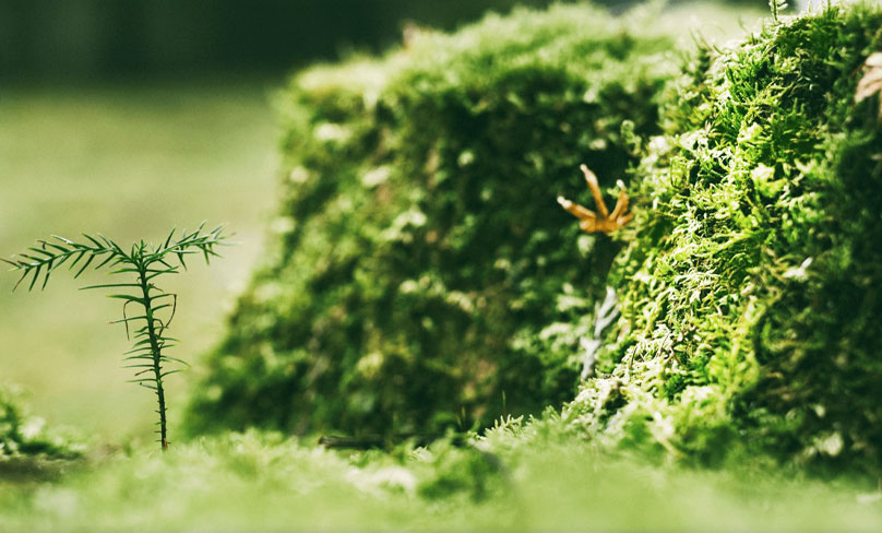 Jiangsu Shixin Adhesive Tape Products Co.、Ltd。